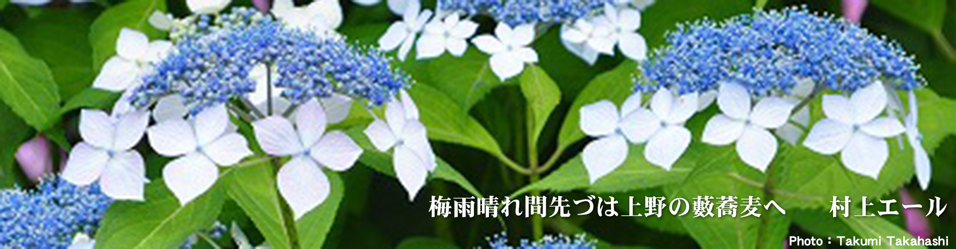 Third slide