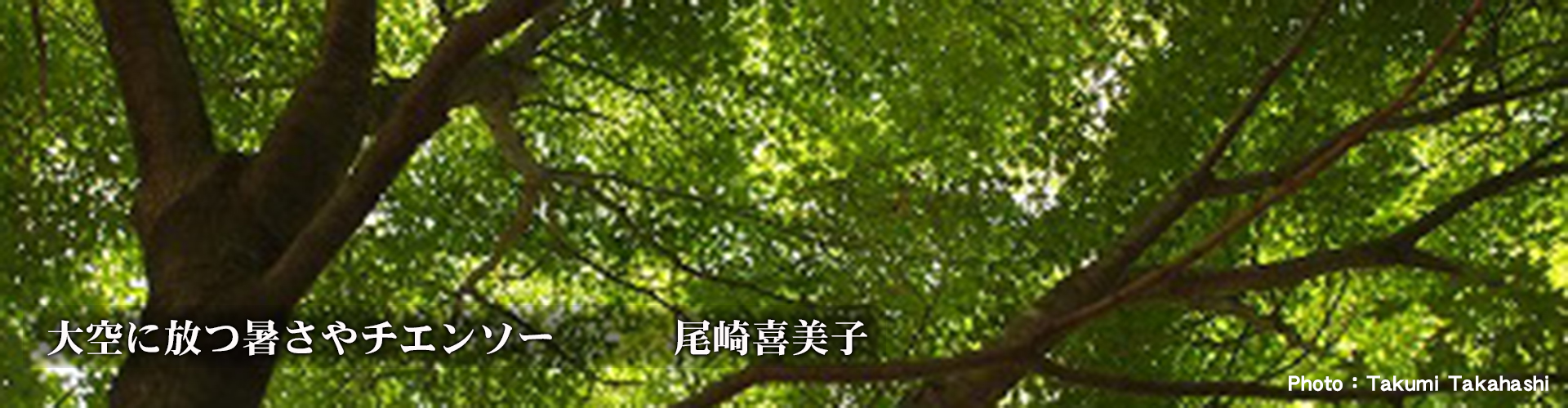Second slide
