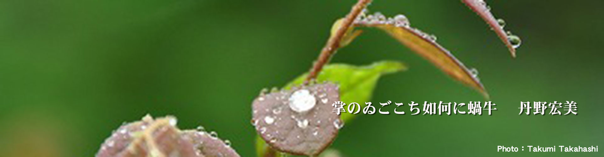 Second slide