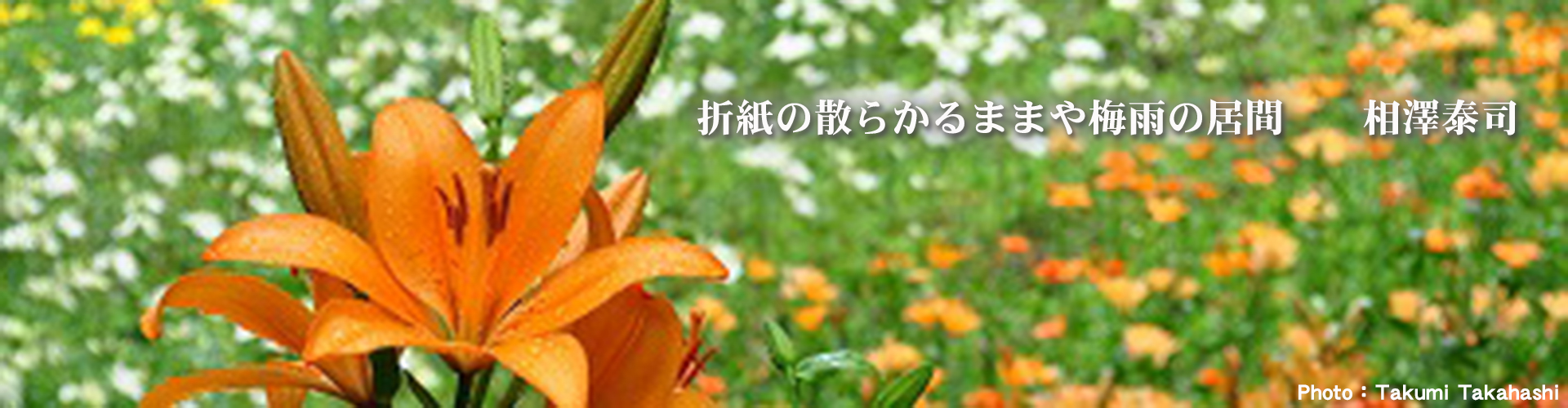 Second slide