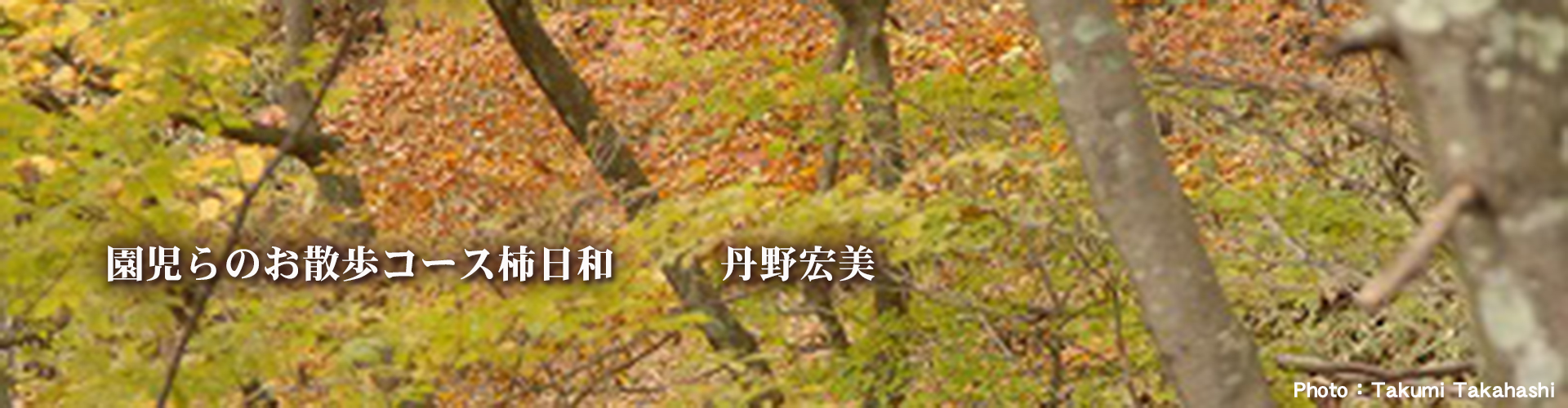 First slide