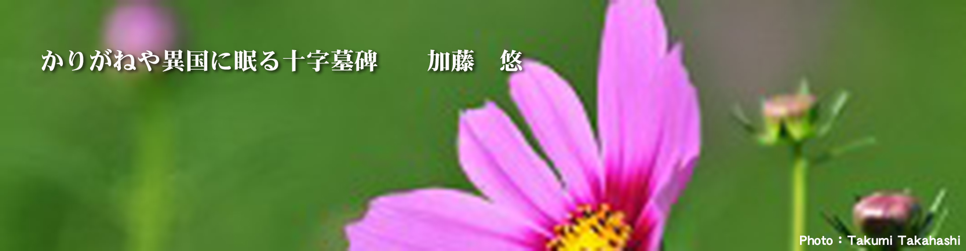 Second slide